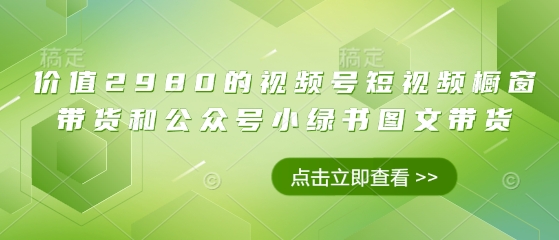 价值2980的视频号短视频橱窗带货和公众号小绿书图文带货|小鸡网赚博客