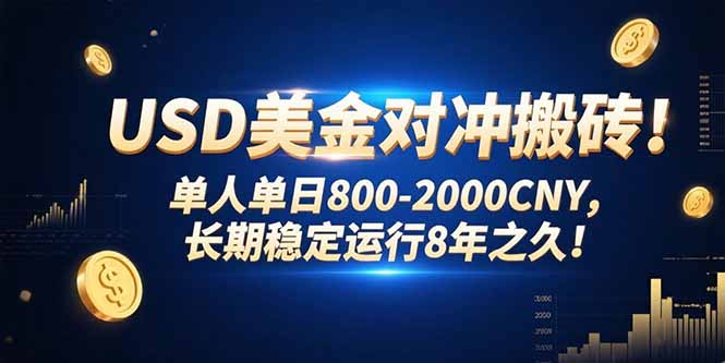 （15551期）USD美金对冲搬砖!单人单日800-2000CNY，长期稳定运行8年之久!|小鸡网赚博客