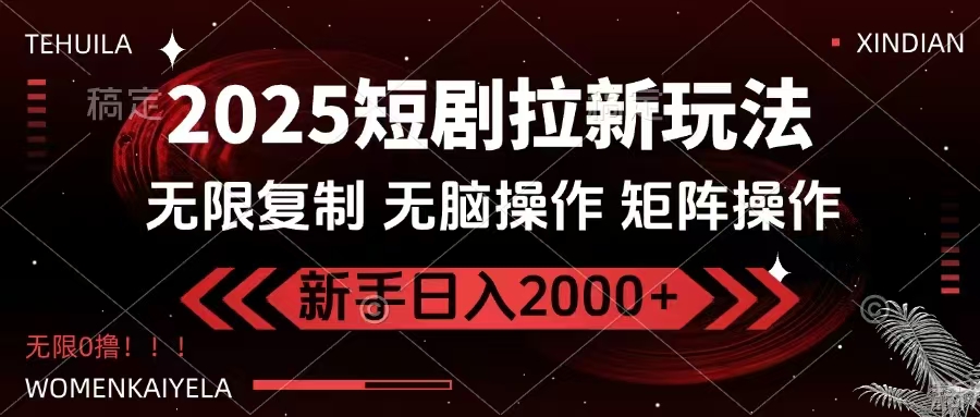（14429期）2025短剧拉新玩法，无需注册登录，无限0撸，无脑批量操作日入2000+|小鸡网赚博客