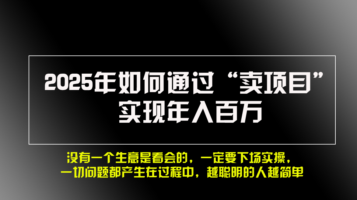 （13468期）2025年如何通过“卖项目”实现年入百万，做网赚必看！！|小鸡网赚博客