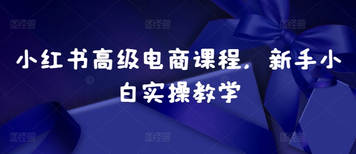 小红书高级电商课程，新手小白实操教学|小鸡网赚博客