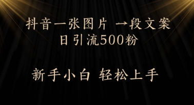 每天2分钟，抖音一张图片 一段文案日引流500粉|小鸡网赚博客