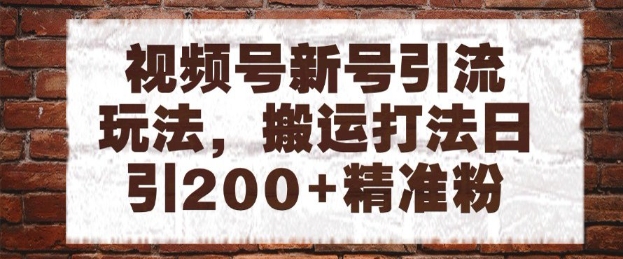 视频号新号引流玩法，搬运打法日引200+精准粉，可矩阵放大【揭秘】|小鸡网赚博客
