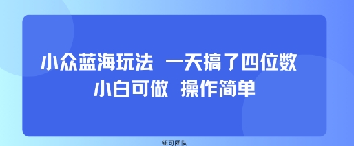 小众蓝海玩法 一天搞了四位数 小白可做 操作简单|小鸡网赚博客