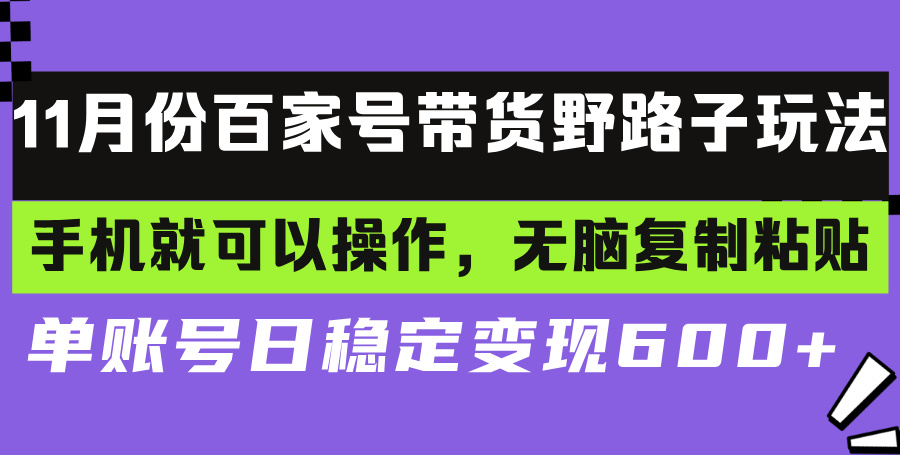 （13281期）百家号带货野路子玩法 手机就可以操作，无脑复制粘贴 单账号日稳定变现…|小鸡网赚博客