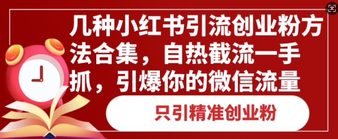 几种小红书引流创业粉方法合集，自热截流一手抓，引爆你的微信流量|小鸡网赚博客