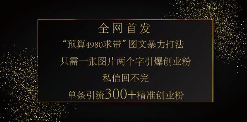 小红书神奇图片引流法，只需一张图，就能单条笔记凭借此方法，轻松引流 300 + 精准创业粉|小鸡网赚博客