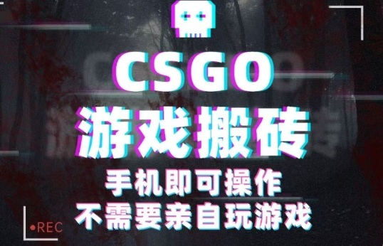 CSGO游戏挂G捡漏，单日扫货5张+，年底小高峰上车可吃肉，手机即可操作，兼职副业创业网创【揭秘】|小鸡网赚博客