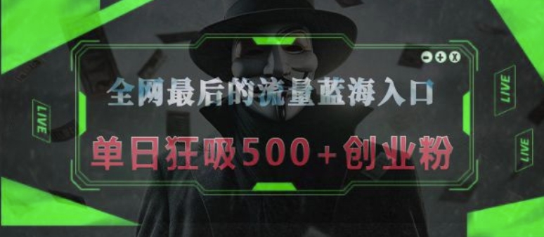 全网最后的流量蓝海入口，半小时引流50+创业粉，单日狂吸500+创业粉|小鸡网赚博客