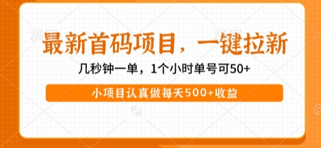 最新首码项目，操作最简单，收益高，一键拉新，1个小时单号可50+，小项目认真做每天5张+收益【揭秘】|小鸡网赚博客