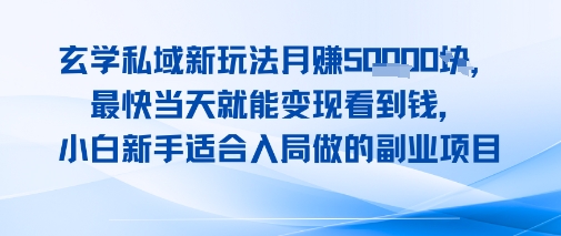 玄学私域新玩法月入1W+，最快当天就能变现看到米，小白新手适合入局做的副业项目|小鸡网赚博客