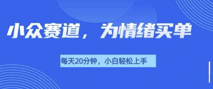 小众赛道，我的治愈系电子抱枕，让用户为情绪买单|小鸡网赚博客