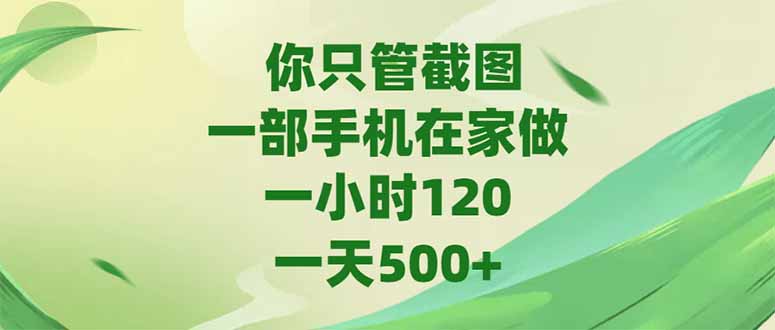 （15039期）你只管截图，一部手机在家做，一小时120，-天500+|小鸡网赚博客