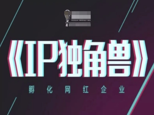 IP独角兽，孵化网红企业，ip教程|小鸡网赚博客