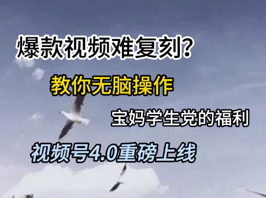 视频号4.0重磅上线，爆款视频难复刻？教你无脑操作宝妈学生党的福利【揭秘】|小鸡网赚博客