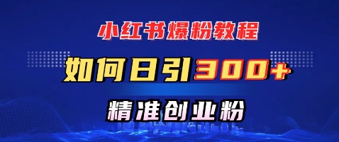 小红书爆粉教程，如何日引300+创业粉，快速实现精准变现|小鸡网赚博客