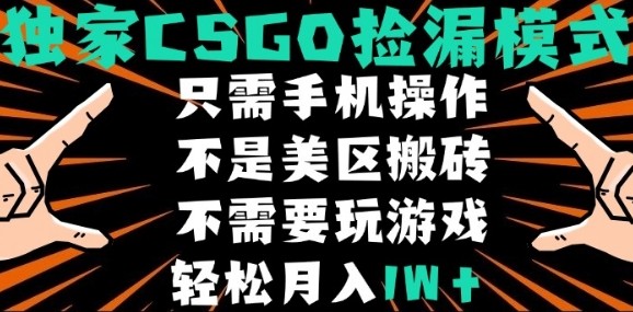 CSGO自动捡漏项目，最新独家玩法，不是美区搬砖，不需要了解和玩游戏，新手小白轻松月入1W+【揭秘】|小鸡网赚博客