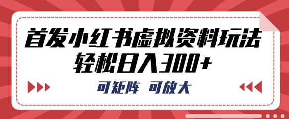 首发小红书虚拟资料玩法，可矩阵，可放大，轻松日入3张|小鸡网赚博客