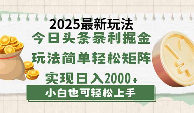 （14120期）今日头条2025最新玩法，思路简单，复制粘贴，轻松实现矩阵日入2000+|小鸡网赚博客