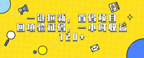 一键拉新，首码项目，回填验证码，一小时收益1张|小鸡网赚博客