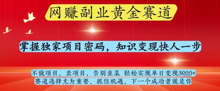 网创副业黄全赛道，掌握独家项目密码，知识变现快人一步，告别韭菜轻松实现单日变现1k+【揭秘】|小鸡网赚博客
