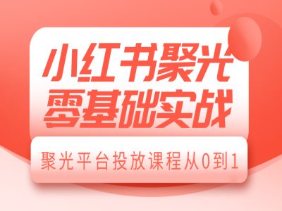 小红书聚光零基础实战，聚光平台投放课程从0到1|小鸡网赚博客