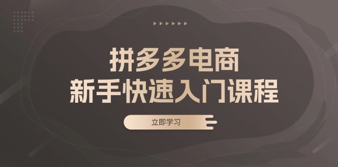 （13289期）拼多多电商新手快速入门课程：涵盖基础、实战与选款，助力小白轻松上手|小鸡网赚博客