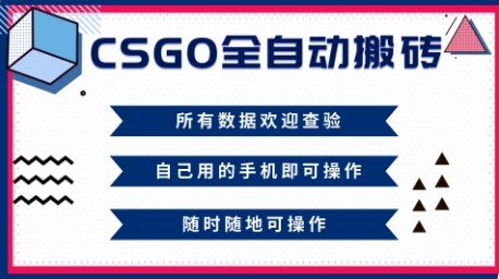 CSGO全自动搬砖，年底钱回家好项目，当天可拿到结果，新手小白轻松月入1W+【揭秘】|小鸡网赚博客