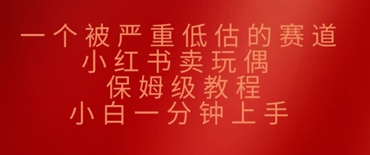一个被严重低估的赛道，小红书卖玩偶，保姆级教程，小白一分钟上手|小鸡网赚博客