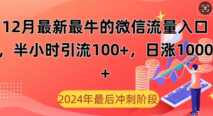 12月最新最牛的微信流量入口，半小时引流100+创业粉，日涨粉1000+|小鸡网赚博客