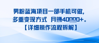 8月新男粉蓝海项目一部手机可做，多重变现方式 月入4W+【详细操作流程拆解】|小鸡网赚博客