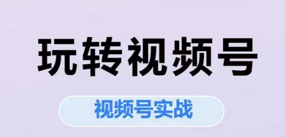 玩转视频号，视频号实战系列课|小鸡网赚博客