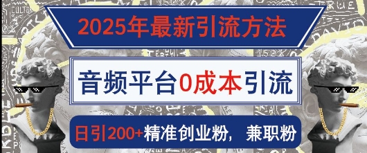 2025年最新引流方法，音频平台0成本引流，日引200+精准创业粉|小鸡网赚博客