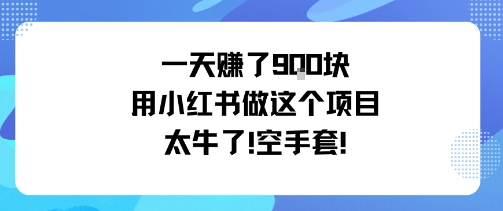 一天挣了9张用小红书做这个项目太牛了，空手套|小鸡网赚博客