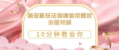 萌宠新玩法猫咪做菜爆款流量视频，10分钟教会你|小鸡网赚博客