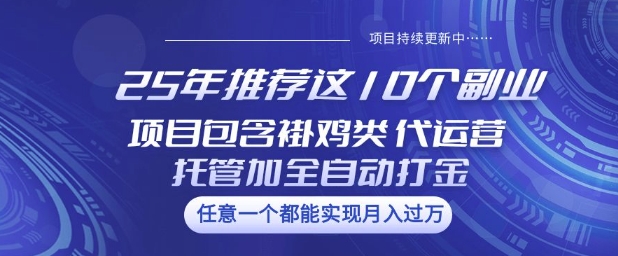 25年推荐这10个副业项目包含褂鸡类、代运营托管类、全自动打金类【揭秘】|小鸡网赚博客
