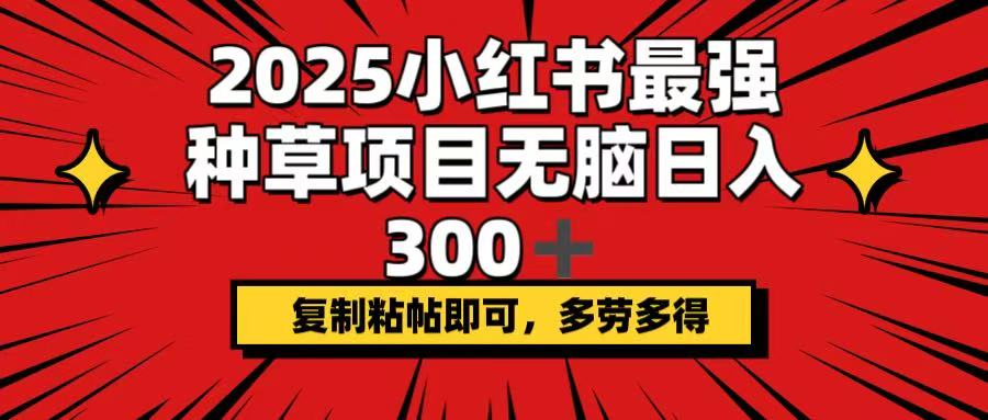 （14375期）2025小红书最强种草项目，无脑日入300+，复制粘帖即可，多劳多得|小鸡网赚博客
