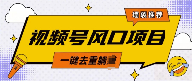 视频号风口蓝海项目，中老年人的流量密码，简单无脑，一键去重，轻松月入过W|小鸡网赚博客