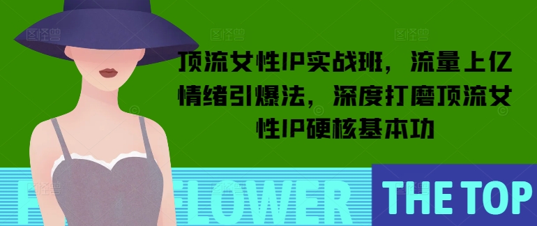 顶流女性IP实战班，流量上亿情绪引爆法，深度打磨顶流女性IP硬核基本功|小鸡网赚博客