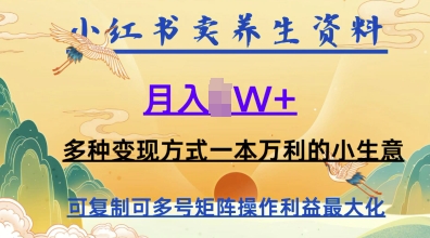 在小红书上卖养生资料，月入1w+，多种变现方式一本万利的小生意|小鸡网赚博客