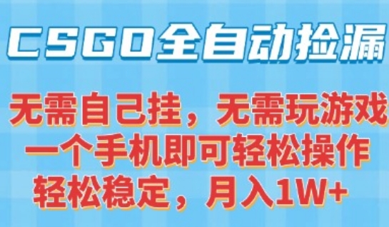CSGO自动捡漏项目，最新独家玩法，一个手机可操作，新手小白轻松月入1W+，操作简单易上手【揭秘】|小鸡网赚博客