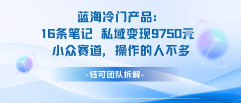 蓝海项目：16条笔记私域变现9750米小众赛道操作的人不多|小鸡网赚博客