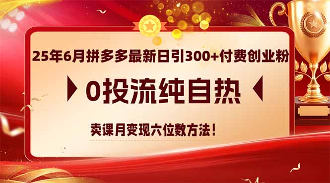 （14989期）25年6月拼多多最新日引300+付费创业粉，0投流纯自热 卖课月变现六位数方法|小鸡网赚博客