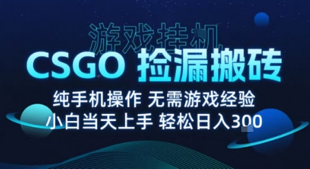 8月最新游戏搬砖，CSGO纯挂G，不需要玩游戏，实现真挂G，月入1W+【揭秘】|小鸡网赚博客