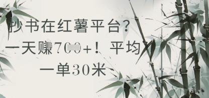 抄书在小红薯平台？平均一单30米，一天收益几张！|小鸡网赚博客