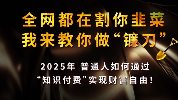 全网都在割你韭菜，我来教你做镰刀，2025普通人如何通过知识付费，实现财F自由【揭秘】|小鸡网赚博客