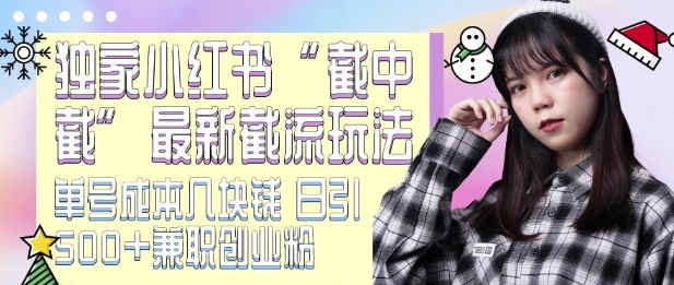 最新小红书截流玩法 独家截中截 单号成本几块钱 日引500+CY粉JZ粉|小鸡网赚博客