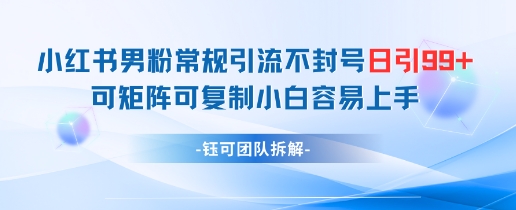 小红书男粉常规引流不封号日引99+变现简单 可矩阵可复制小白容易上手|小鸡网赚博客