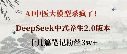 AI中医大模型杀疯了！DeepSeek中式养生2.0版本，十几篇笔记粉丝3w+|小鸡网赚博客