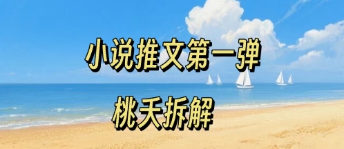 小说推文项目操作全流程第一弹，0粉就能做，门槛低非常适合新手|小鸡网赚博客